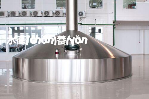 水產(chǎn)養(yǎng)殖廢水處理：創(chuàng)新技術(shù)解決環(huán)境難題？